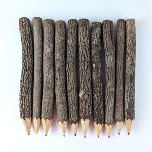 Wooden Twig Colored Pencils Set of 10